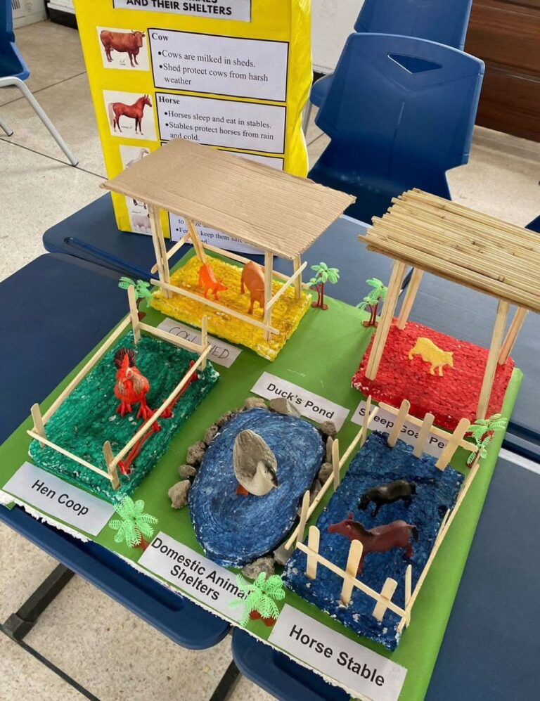 Science Exhibition 2026