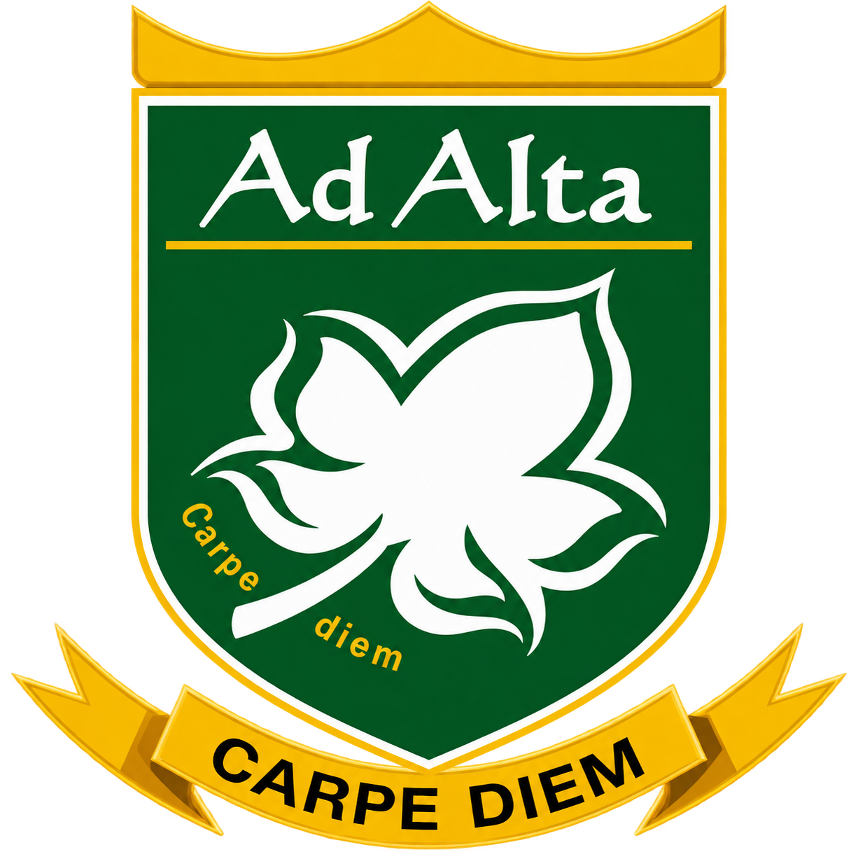 Ad Alta School